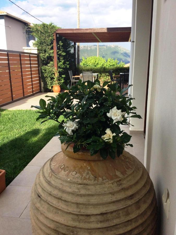 Aparthotel Calm View Vasiliki Exterior foto